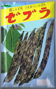 Rakuten - 佐藤政行種苗　いんげん　ゼブラ [内容量：50ml]