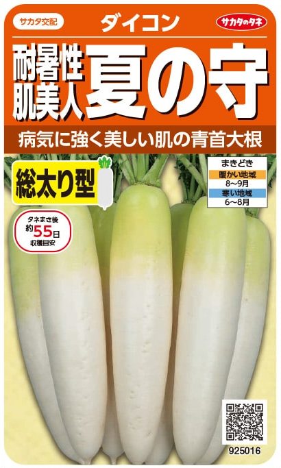 サカタのタネ 耐暑性肌美人大根　夏の守　5.5mL【郵送対応】