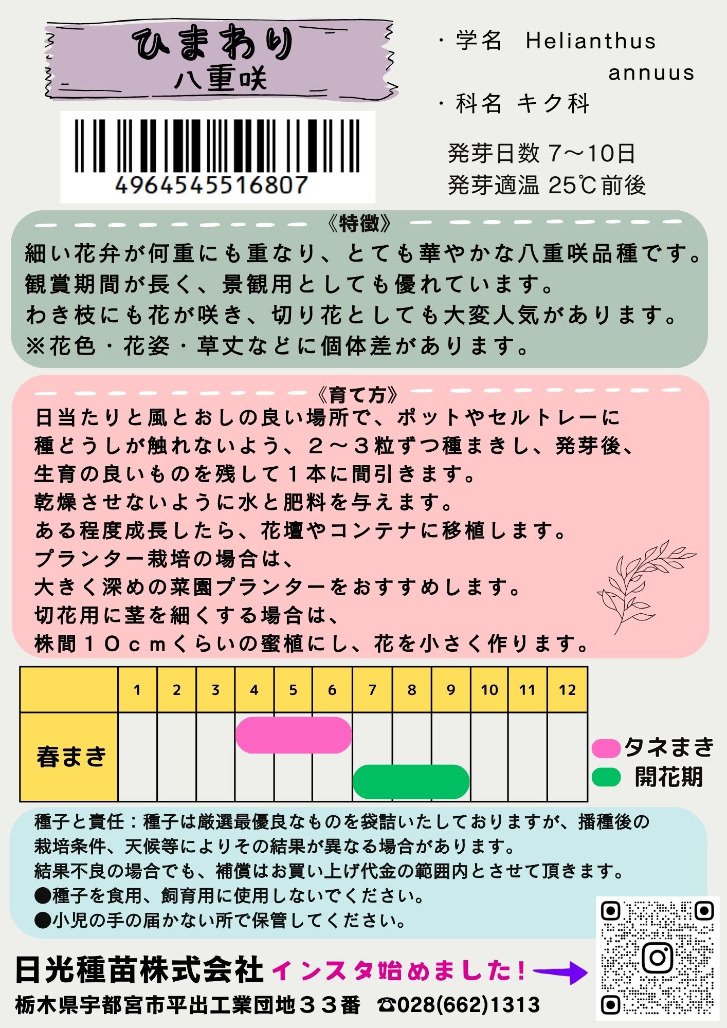 �������� �ҥޥ�� ����Ȭ�Ťޤ뤳�Υ���[�����̡�1L����8000γ��]���ʼ���Ͽ�д��ֹ桧��29403���