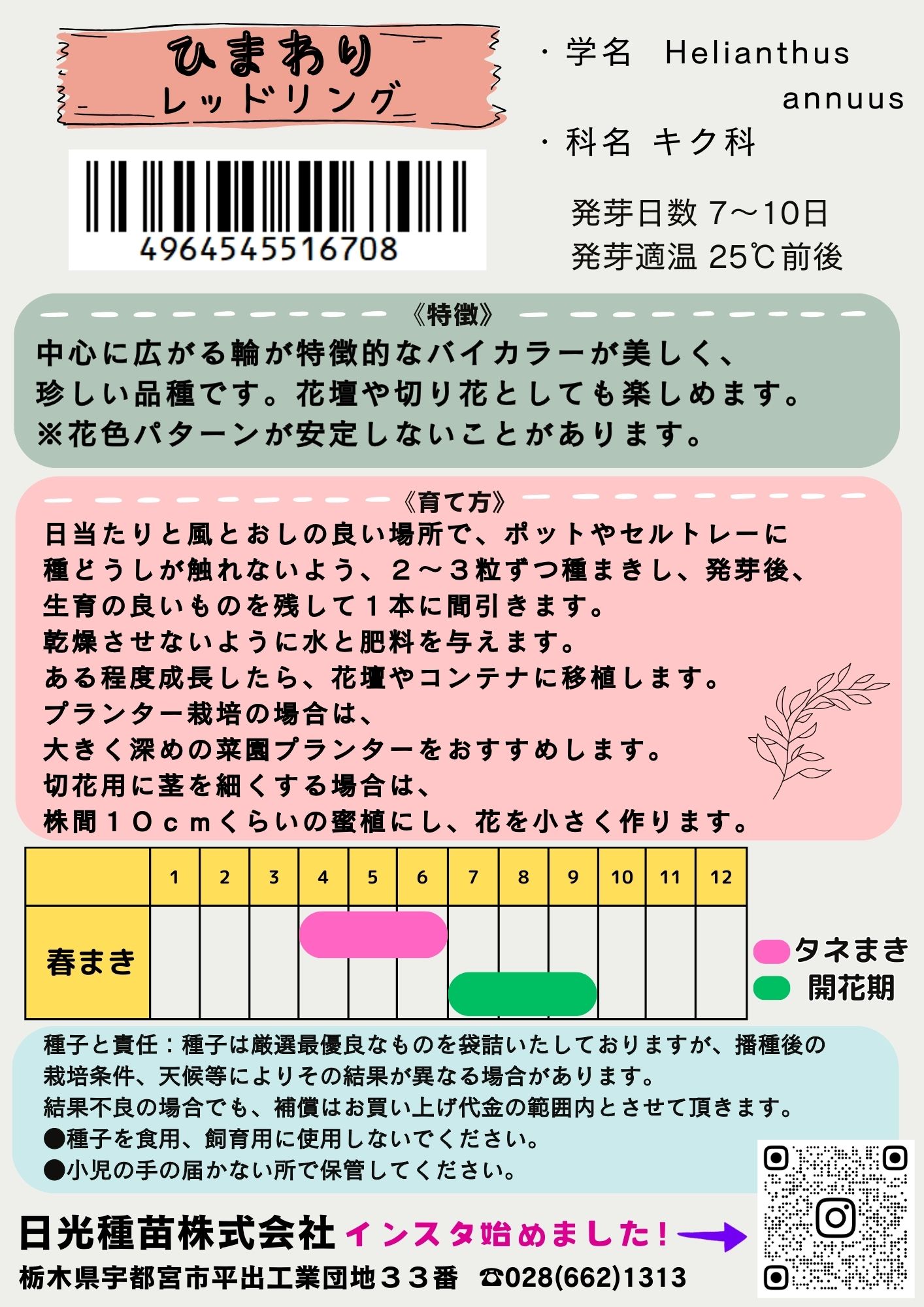 日光種苗 ヒマワリ レッドリング　バイカラーのタネ[内容量：100ml（約1800粒）]