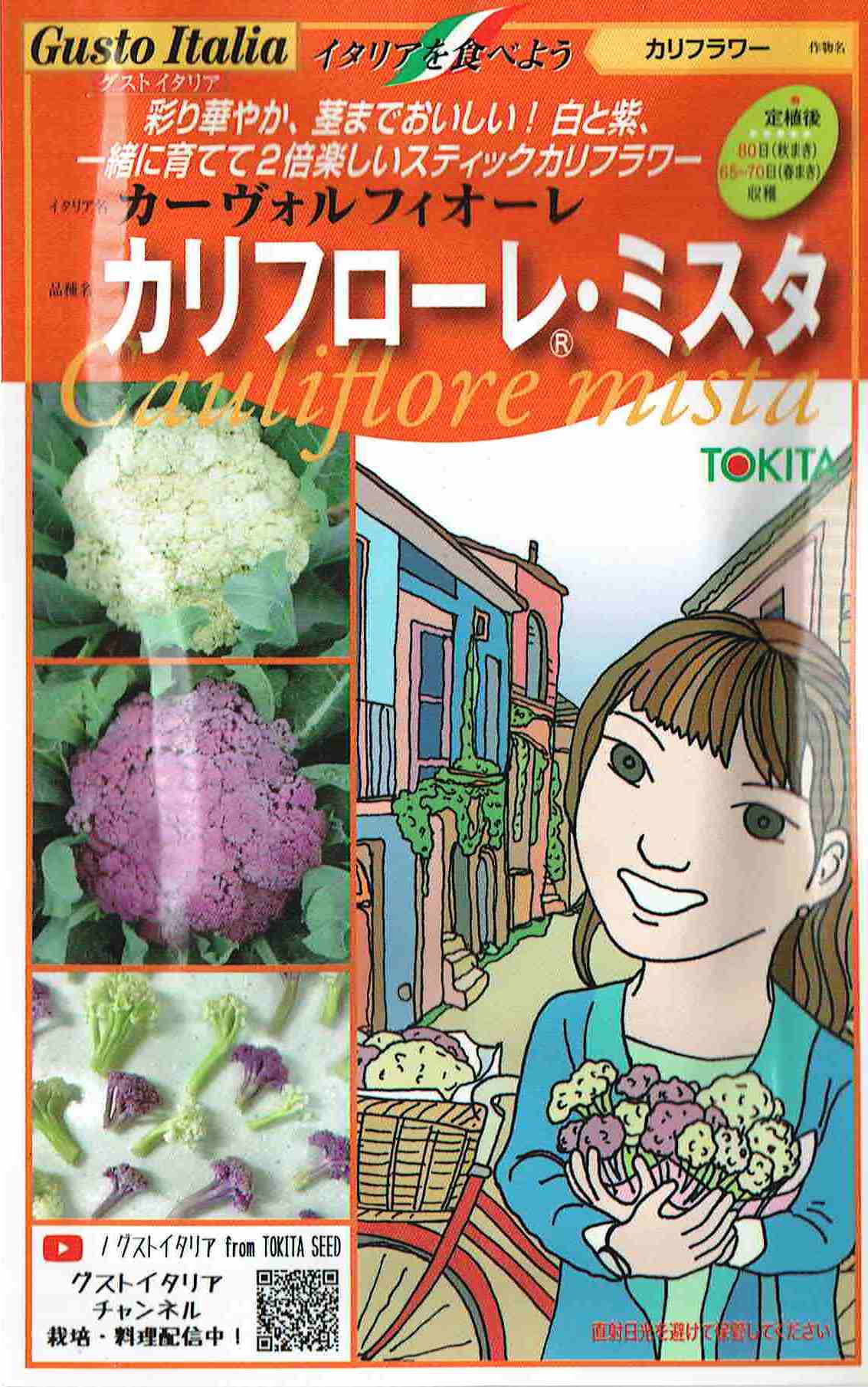 製造元：トキタ種苗彩り華やか、茎までおいしい！白と紫、一緒に育てて2倍楽しいスティックカリフラワーカーヴォルフィオーレ　カリフローレ・ミスタトンネルの要・不要や定植などの情報は商品パッケージをご確認ください。畑プランターコンテナ発芽適温18〜25度来歴と調理来歴: 茎がおいしく花蕾との色のコントラストが鮮やか。　　　紫カリフローレは花蕾の色違いでおいしさは同じ。調理: 湯通しして氷水で締めると色が鮮 やか。　　　紫カリフローレは、お湯で茹でるだけだと青色になるが、茹で汁や調味料に酢を加えて鮮やかな赤紫色に。　　　バーニャカウダやピクルス、焼いてお弁当にも。特性草勢極強、栽培容易。定植後80日(秋まき)、 65〜70日 (春まき)目安で収穫可能。栽培のポイント種まき: 128穴セルトレイ利用の場合、本葉3枚ほどの若苗を定植。育苗期間の目安は秋作で25~30日、春夏作で35〜40 日。株間: 株間35cm、畝間60〜70cm。定植後にしっかり灌水し活着させる。管理: 元肥として成分量でN15g、P20g、K15g/m。追肥としてN、K 5g/mほど。初期生育を促し、外葉を大きく作る。秋まきの注意: 花蕾に霜が当たると凍害 ・ 腐敗の原因となる。10°度以下で生育が遅滞。トンネルや 不織布を利用。春まきの注意: 育苗〜初期生育中は低温を避け保温に留意。定植直後はトンネルを利用する。収穫: 花蕾が緩んで指が入るくらいの隙間ができたら収穫時期。房ごとに分けて梱包する。1株から数十本収 穫可能。販売する場合、予冷が効果的。多湿条件で腐敗が進行するので、穴あき包装資材の利用がお勧め。出荷用のシールあり。病虫害: カリフラ ワー・野菜類に登録のある薬剤の説明に従って防除する。カーヴォルフィオーレの種子,カーヴォルフィオーレのタネ,かーぉるふぃおーれの種子,かーぉるふぃおーれのタネ,カリフローレ・ミスタの種子,カリフローレ・ミスタのタネ,かりふろーれ・みすたの種子,かりふろーれ・みすたのタネ2025/02/05 - ver.3.0