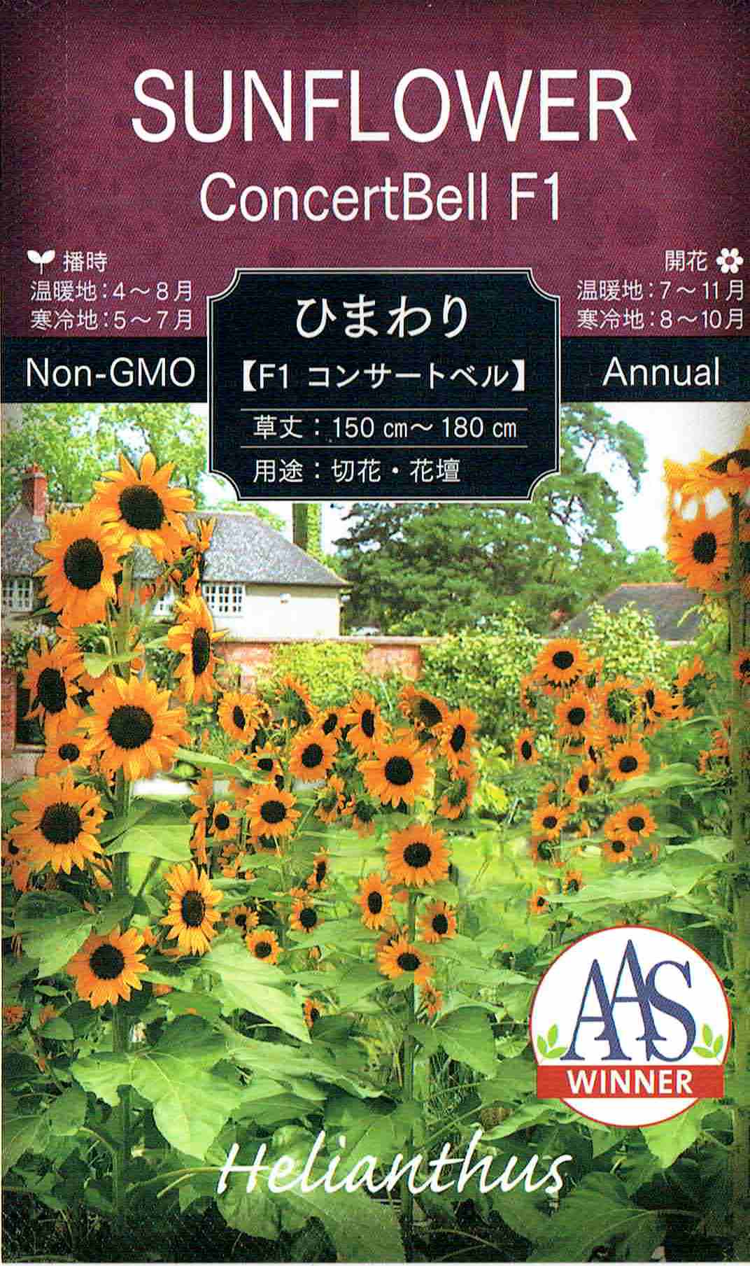 福花園種苗 ヒマワリ F1コンサートベルのタネ[内容量：1ml]