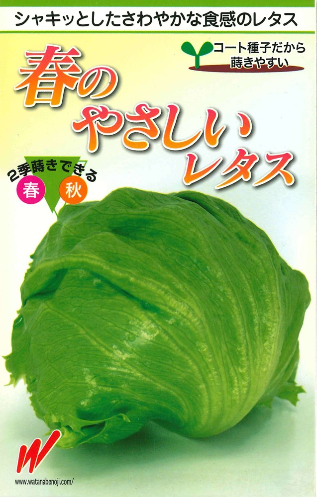 製造元：渡辺農事シャキットしたさわやかな食感のレタスレタス　スパークトンネルの要・不要や定植などの情報は商品パッケージをご確認ください。発芽日数3〜5日発芽適温15〜20度生育適温15〜20度畑プランターコンテナ1、タネ蒔き発芽適温: 15〜20°度発芽日数: 3〜5日ポットやセルトレイ、育苗 箱に培土を詰め、十分に潅水してからタネを蒔きます。タネ蒔き後、薄く覆土をして軽く湿る程度に潅水します。2、定植・栽培管理生育適温: 15〜20°度1平方メートルあたり苦土石灰、化成肥料を100g位入れて十分畑になじませます。畑に幅 70cm程度の畝をつくり、本葉4~5枚程度の苗を条間45cm、株間30cm位の間隔で定植します。3、収穫株が8分程度結球してきたら、株元から切り取って収穫します。レタスの種子,レタスのタネ,れたすの種子,れたすのタネ,しちゃの種子,しちゃのタネ,シチャの種子,シチャのタネ,萵苣の種子,萵苣のタネ,スパークの種子,スパークのタネ,すぱーくの種子,すぱーくのタネ2025/02/06 - ver.3.0