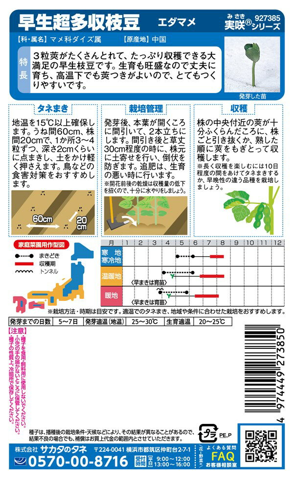 サカタのタネ エダマメ 早生超多収のタネ[内容量：30ml]
