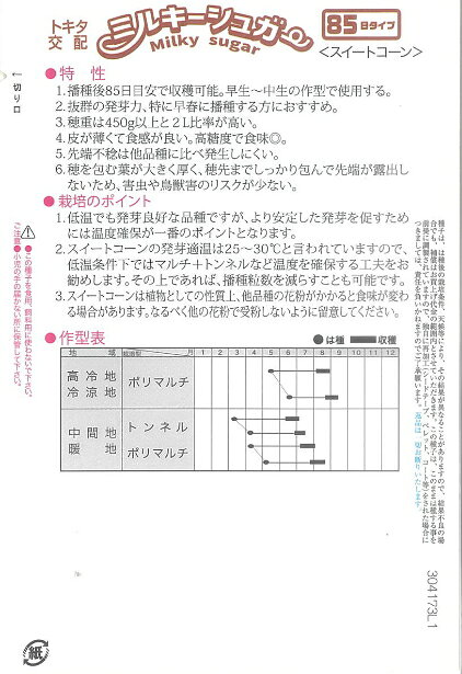 トキタ種苗 トウモロコシ ミルキーシュガー85のタネ[内容量：約70粒]