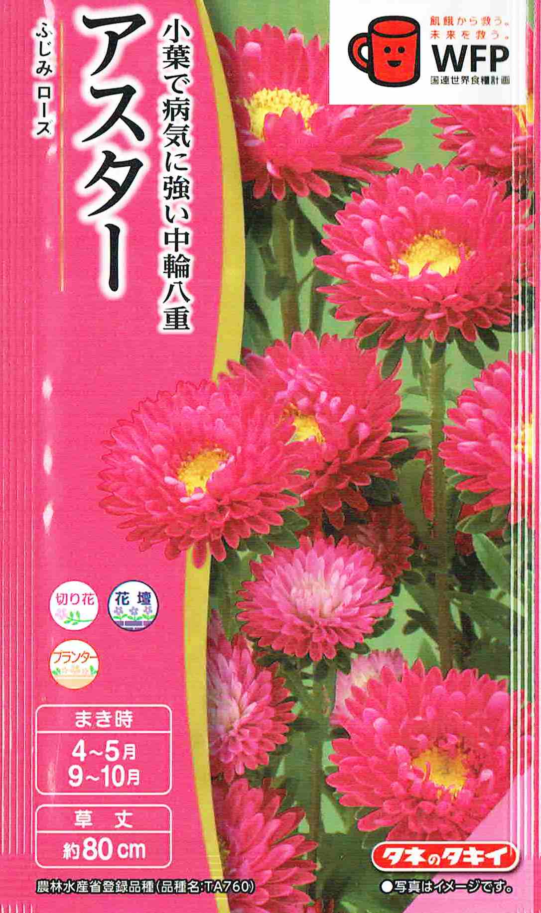 タキイ種苗 アスター ふじみローズのタネ[内容量：0.3ml]