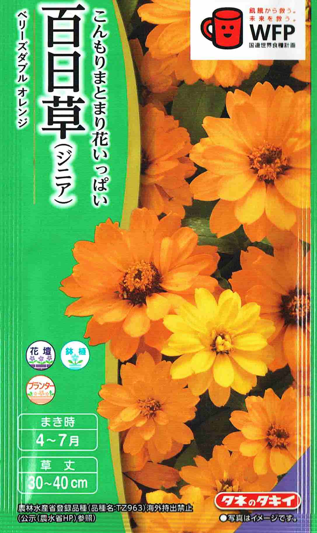 製造元：タキイ種苗こんもりとまとまり花いっぱい百日草（ジニア） ベリーズダブル オレンジトンネルの要・不要や定植などの情報は商品パッケージをご確認ください。花壇鉢植プランターコンテナ発芽日数5〜7日発芽適温20度前後生育適温20〜30度草丈30〜40cm特長暑さに強く育てやすい半八重咲の品種です。枝分かれも多く夏花壇でたくさんの花が咲き長期間楽しめます。植え付け後もきれいな株姿を保ちます。 ※まれに異株が出現することがあります。タネまき春まき 4月上旬〜7月上旬タネはセルトレイかポットにまきます。ポットには1〜2粒まき、丁寧に軽く覆土し、発芽後は生育の良いものを残して間引きます。まき土は清潔な種まき培土を使い ましょう。育て方発芽後は薄い液肥を与えます。トレイにまいた場合、本葉3〜4枚の頃に植替えます。花壇には株間25〜30cm間隔で、鉢は4〜5号鉢に1本植えます。土質は選びませんが、日当たりと水はけの良い場所で、開花までは十分に肥料を与えて過湿を避けて栽培します。百日草（ジニア）の種子,百日草（ジニア）のタネ,百日草（じにあ）の種子,百日草（じにあ）のタネ,ベリーズダブルの種子,ベリーズダブルのタネ,べりーずだぶるの種子,べりーずだぶるのタネ,オレンジの種子,オレンジのタネ,おれんじの種子,おれんじのタネ2025/02/20 - ver.3.0