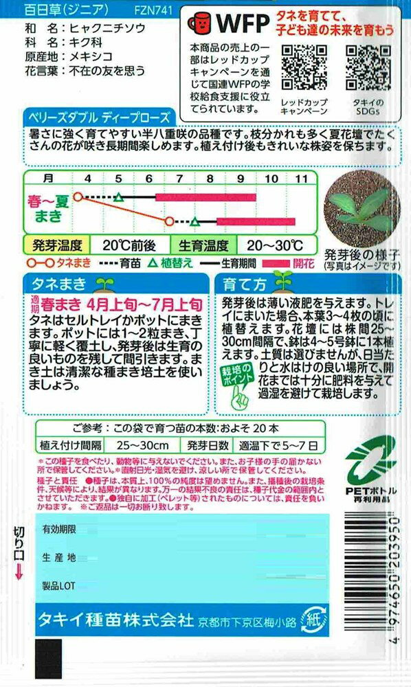 タキイ種苗 百日草 ベリーズダブル　ディープローズのタネ[内容量：約30粒]