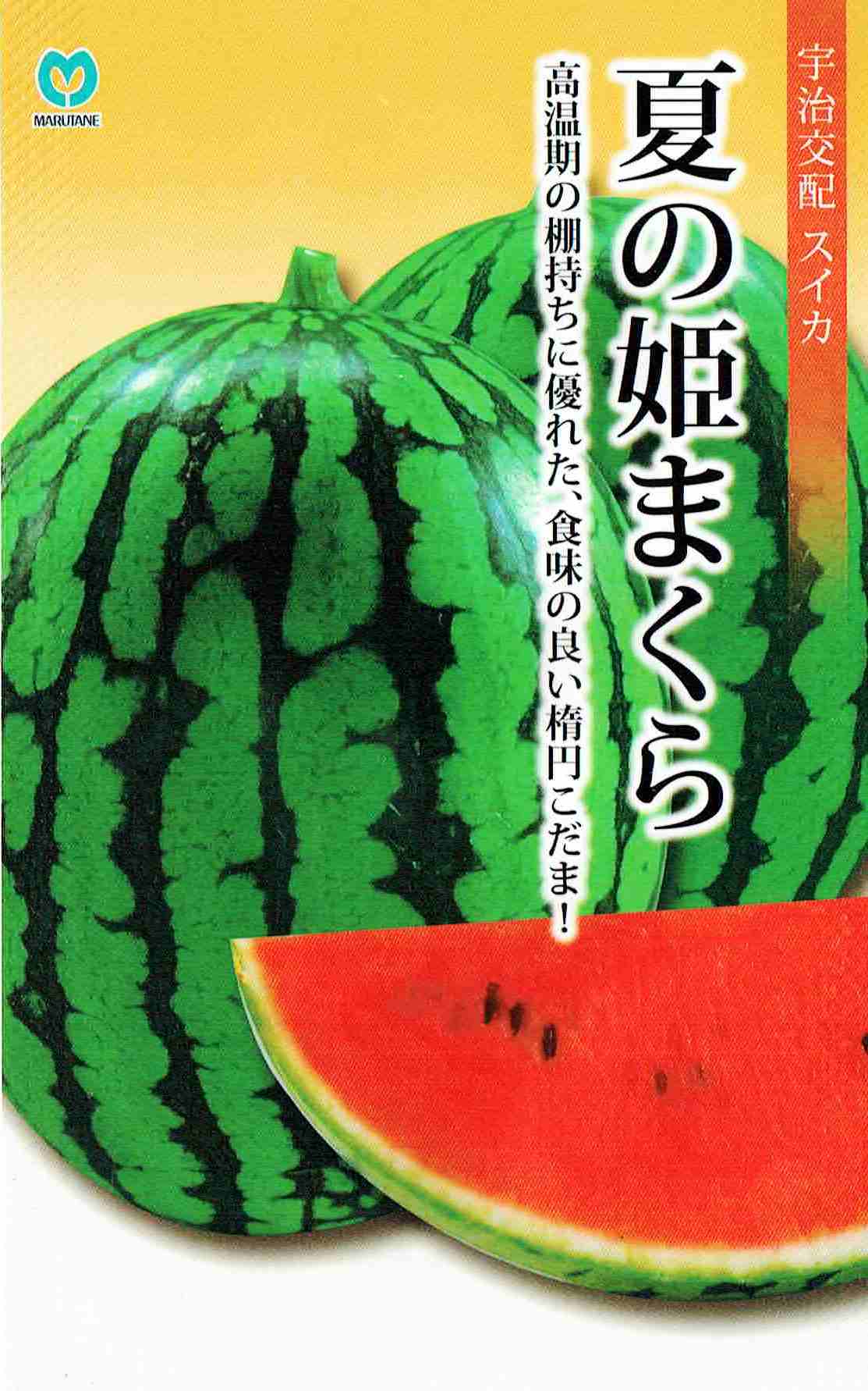 丸種 スイカ 夏の姫まくらのタネ[内容量：約7粒]