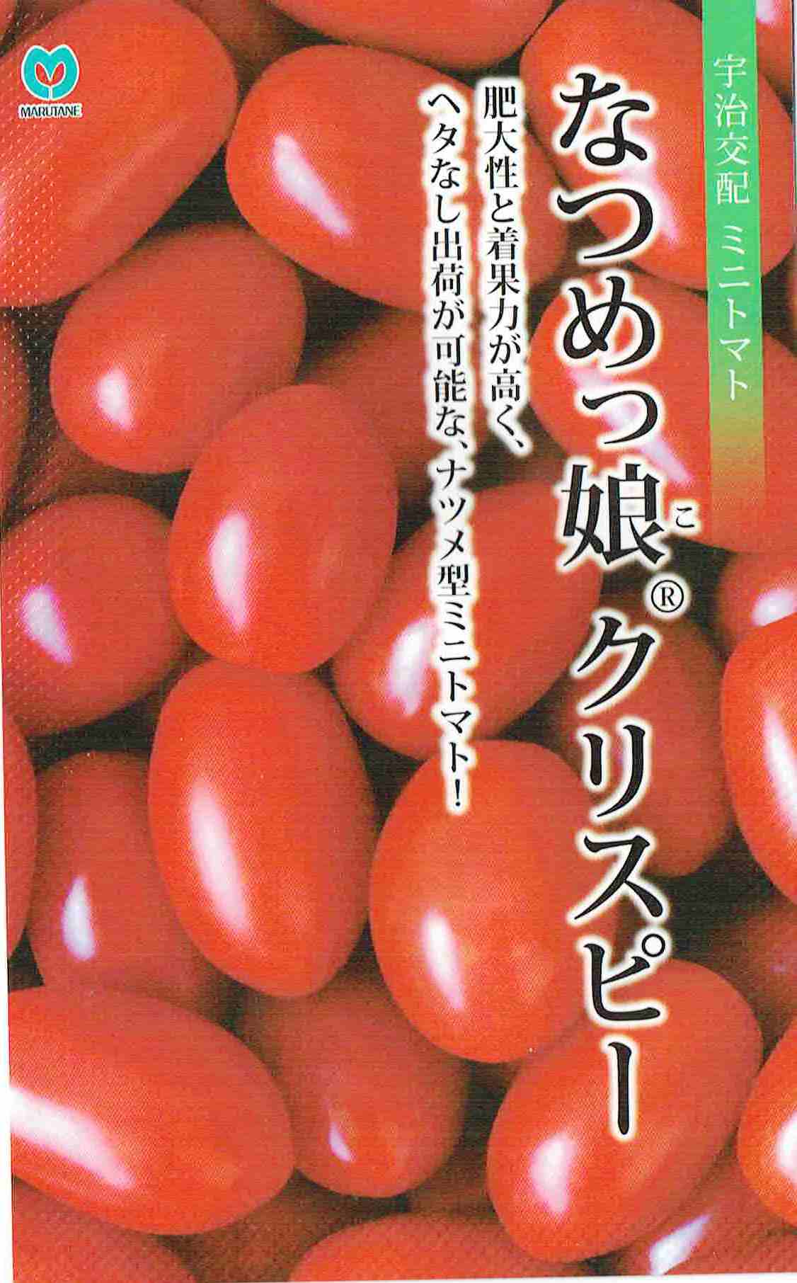製造元：丸種ヘタなし出荷が可能な、ナツメ型ミニトマト！ミニトマト　なつめっ娘クリスピートンネルの要・不要や定植などの情報は商品パッケージをご確認ください。一代交配F1種特性1 黄化葉巻病 (TYLCV) マイルド型、イスラエル型両系統や葉かび病 (Cf9) TSWV, 萎凋病 (F)等に耐病性を持つミニトマトです。2 果形はナツメ型で、果肉はよく締まり食感がよく美味です。また 裂果は少なく、秀品率が高いです。3 特にヘタはとり易く、ヘタなし出荷が可能です。流通時や店頭でのヘタ下の傷みも少なく、輸送性、店持ちにも優れています。栽培の要点1 草勢を維持するために、着果後からやや強めの管理とします。2 極端な水分制限は裂果や品質低下の原因になるので、潅水は少量多回数とし、過乾燥や過湿にならないように管理します。ミニトマトの種子,ミニトマトのタネ,みにとまとの種子,みにとまとのタネ,なつめっ娘クリスピーの種子,なつめっ娘クリスピーのタネ,なつめっ娘くりすぴーの種子,なつめっ娘くりすぴーのタネ,ナツメッ娘クリスピーの種子,ナツメッ娘クリスピーのタネ,一代交配種,F1種2025/02/22 - ver.3.0