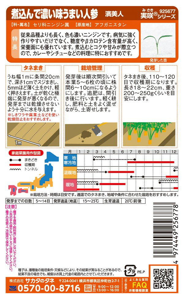 サカタのタネ ニンジン 濱美人のタネ(はまびじん)[内容量：3ml]
