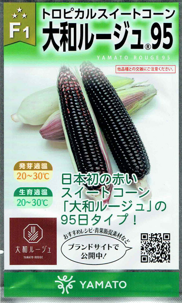 大和農園 トウモロコシ 大和ルージュ95のタネ[内容量：10ml]