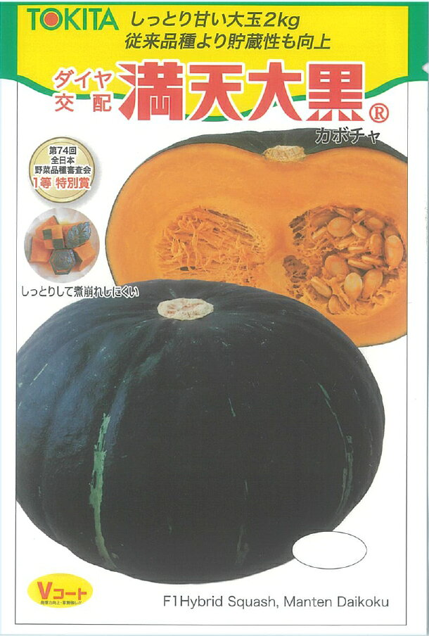 Rakuten - トキタ種苗 カボチャ 満天大黒のタネ[内容量：約7粒]