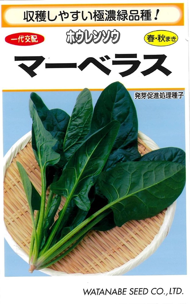 製造元：渡辺採種場収穫しやすい極濃緑品種！ホウレンソウ　マーベラストンネルの要・不要や定植などの情報は商品パッケージをご確認ください。一代交配F1種発芽適温15〜20度生育適温15〜20度高畦栽培中早生特性春・秋まきに適した播種適期の広い中早生品種です。極立性で収穫作業性に優れます。葉色は極濃緑で光沢があり、葉肉厚く、日持ち性良好です。べと病レース1〜20抵抗性です。栽培のポイント●畑準備・種まき排水を良くする為に高畦にし、幅50cmのベッドを作り、2〜3条にすじ播きします。●栽培管理本葉2.5枚頃に株間5〜6cmに間引き、条間に軽く追肥します。●収穫葉長が20cm程度になったら順次収穫を行います。低温期に収穫するものは、より甘みがあって美味しくなります。ホウレンソウの種子,ホウレンソウのタネ,ほうれんそうの種子,ほうれんそうのタネ,法蓮草の種子,法蓮草のタネ,マーベラスの種子,マーベラスのタネ,まーべらすの種子,まーべらすのタネ,一代交配種,F1種2026/02/09 - ver.3.0