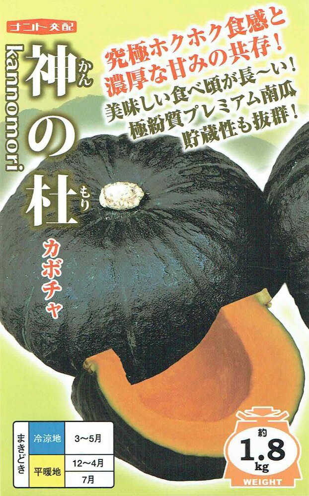 ナント種苗 カボチャ 神の杜のタネ(かんのもり)[内容量：約7粒]