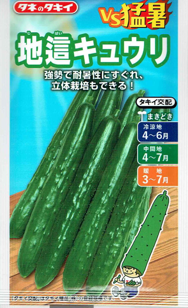 タキイ種苗 キュウリ 地這キュウリのタネ(じばい)[内容量：約8粒]