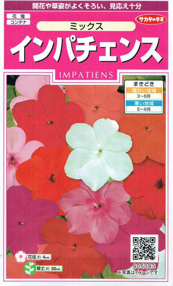 种子（花） - サカタのタネ インパチェンス ミックスのタネ[内容量：約50粒]
