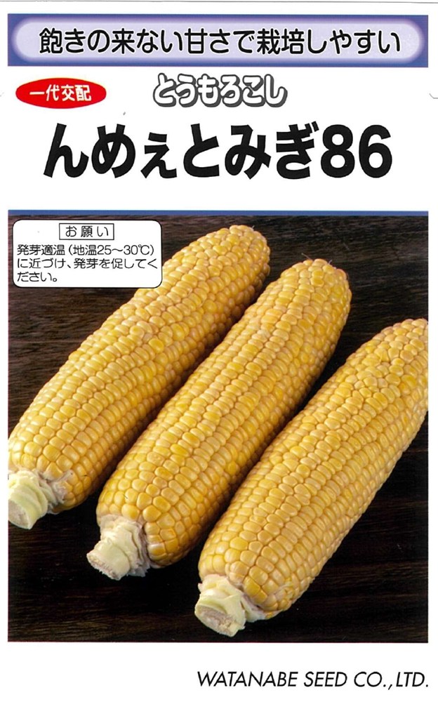 渡辺採種場 トウモロコシ んめぇとみぎ86のタネ[内容量：約53粒]