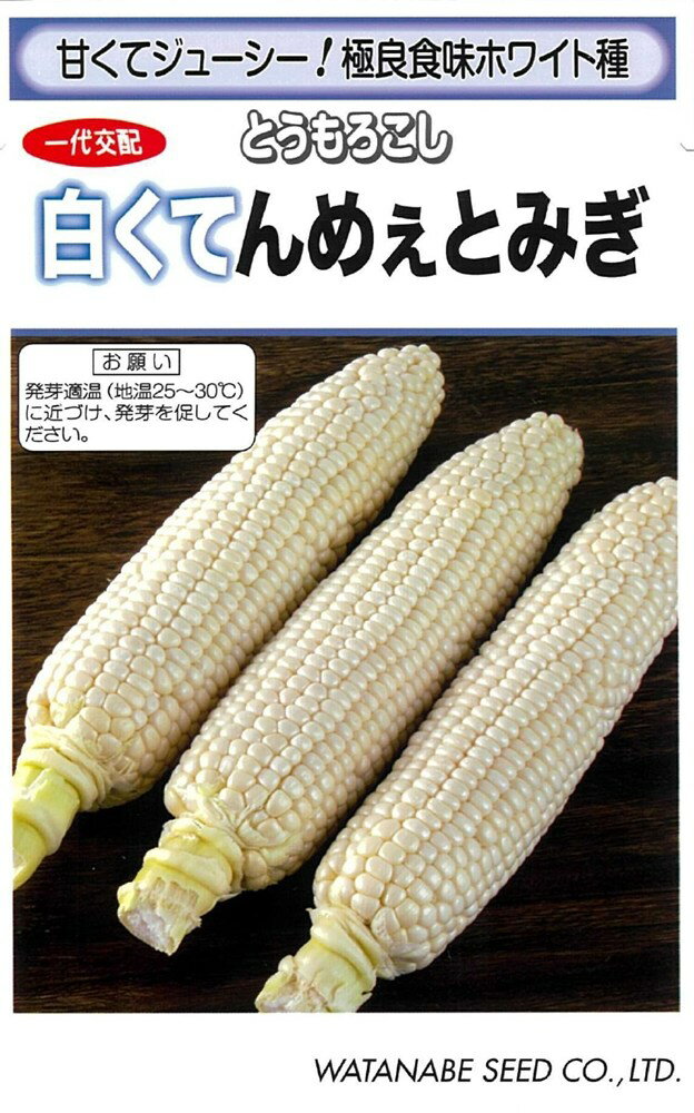 渡辺採種場 トウモロコシ 白くてんめぇとみぎのタネ[内容量：約50粒]