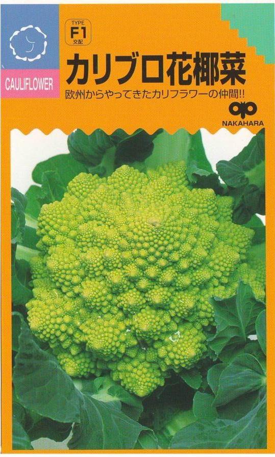 欧州からやってきたカリフラワーの仲間!! カリブロ花椰菜（はなやさい） 特長 &nbsp;・草勢は旺盛で、耐暑性や耐寒性が強い。 ・花蕾はやや黄色味をおび、先の尖った小花蕾が密集し、幾何学的に形成され、800g前後になる。 ・定植後の80〜85日余りの中晩生種で作りやすく、適応性の幅がきわめて広い。 ・甘味があって、くせがないので各種料理に利用できる。 栽培 &nbsp;・一般平坦地では7月中旬〜8月中旬に播種し、無仮植で本葉5〜6枚の頃定植（畝幅150cm・株間40cmの2条植え） ・その他はカリフラワー、ブロッコリーの栽培に準じればよい。 ・収穫は7月中旬播種、8月中旬定植で11月より収穫が可能で、以降順次年明けまで収穫でき2月〜3月まで収穫できる。 カリブロ・カリフラワー・ロマネスコ