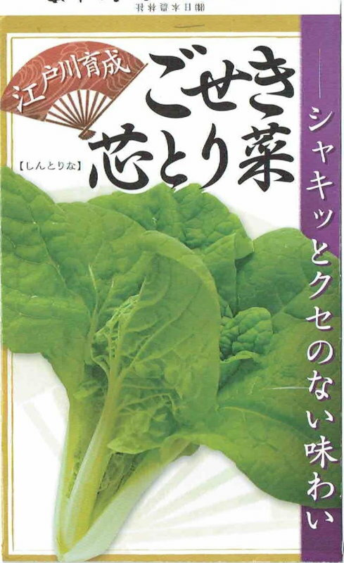 Rakuten - 後関種苗　ごせき芯とり菜　[内容量：20ml]