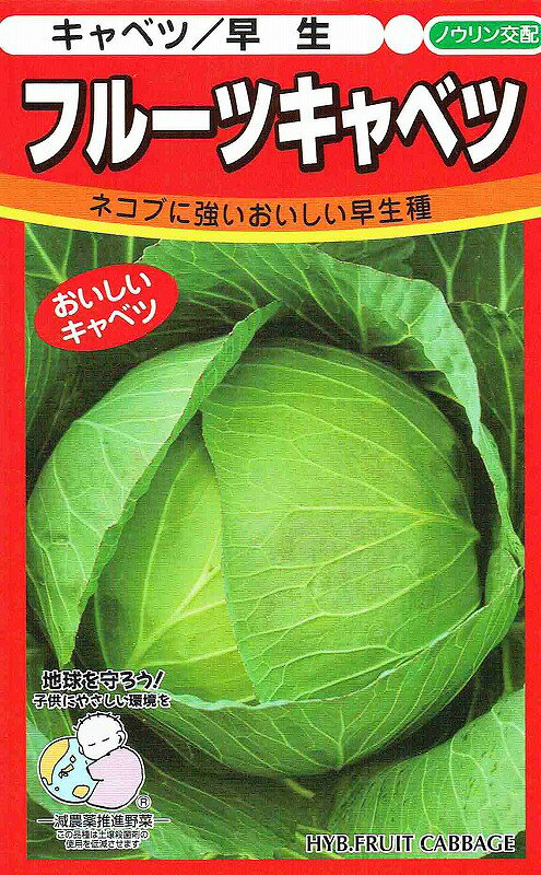 　ネコブに強い美味しい早生種 ノウリン交配　キャベツ　フルーツキャベツ 　■特性 イオウ病・ネコブ病の複合抵抗性品種。甘くて柔らかくジューシーなフルーツ感覚の産直向き早生種。 外葉は小さく草勢はおとなしい。玉の形状は甲高扁円球で1.1〜1.3程度の良くしまった球が収穫できる。 葉質は柔らかくみずみずしいので生食に向く。 夏まき栽培で定植後60〜65日位の早生種。 裂球が早いので適期収穫を心がけてください。 初期生育が悪いと小玉になるので外葉を大きく作る肥培管理を行ってください。 こちらの商品はご注文確認後にお取り寄せになる場合があります。 お取り寄せの場合、商品の発送に1週間程度のお時間をいただきます。