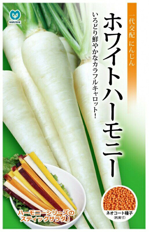 樂天商城 - 丸種　ニンジン　ホワイトハーモニー　約1000粒 【郵送対応】