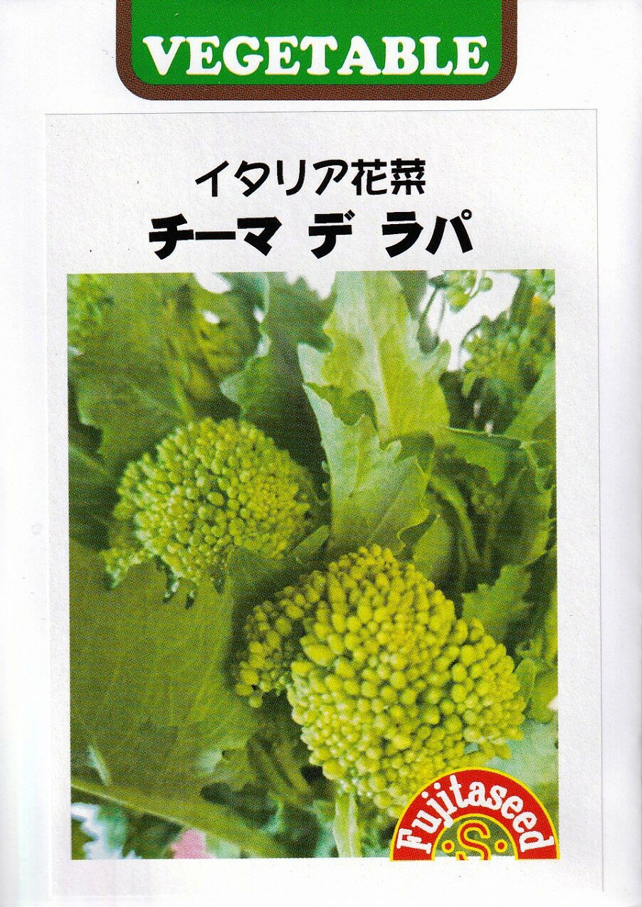ヨーロッパの新しい花菜、栄養満点です。藤田種子　イタリア花菜　チーマ デ ラパ 種まき 9月〜11月 利用方法 カブの一種で、葉とつぼみの部分を食べます。茹でてから炒めたり、サラダやあえもの、パスタの具になります。 花菜 こちらの商品はご注文確認後にお取り寄せになる場合があります。お取り寄せの場合、商品の発送に1週間程度のお時間をいただきます。予めご了承の上、ご注文ください。