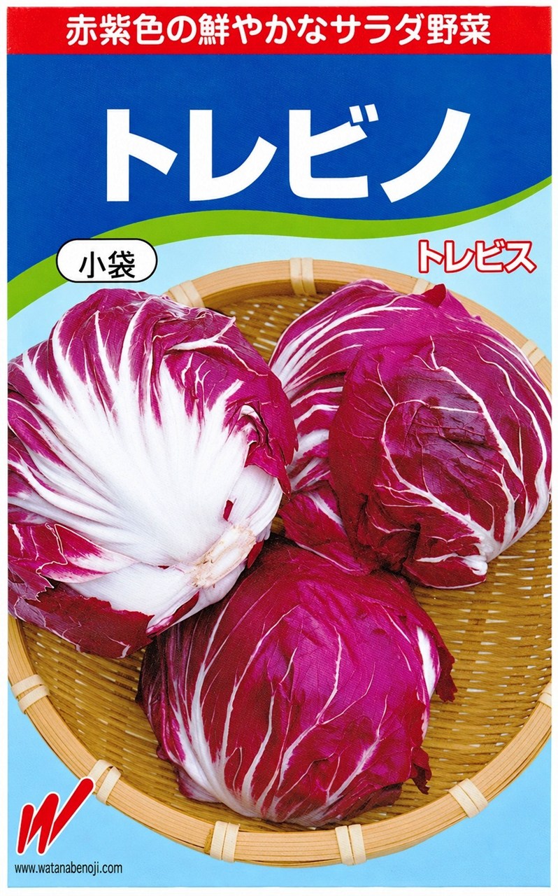 赤紫色の鮮やかなサラダ野菜トレビノ特長葉の赤紫色と葉脈の純白色とのコントラストが鮮やかです。すがすがしいほろ苦さが持ち味で、サラダのアクセントや肉料理の付け合せに最適。球の肥大や着色の揃いが良く、定植後50〜60日でソフトボール大に結球し、約300〜400gになる。※栽培暦は地方・気候により異なります。上記月日に頼らず貴地の気候に合わせて栽培してください。トレビス、とれびす、とれびの、トレビノ、ラディキョ、ラディッキオこちらの商品はご注文確認後にお取り寄せになる場合があります。お取り寄せの場合、商品の発送に1週間程度のお時間をいただきます。予めご了承の上、ご注文ください。