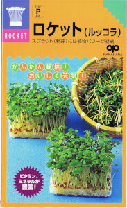 中原採種場　かんたんスプラウト ロケット（ルッコラ） 30ml 