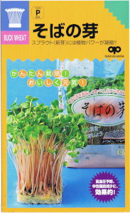 Rakuten - 中原採種場　かんたんスプラウト そばの芽 30ml 【郵送対応】