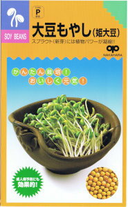 中原採種場　かんたんスプラウト 大豆もやし（姫大豆） 30ml 【郵送対応】