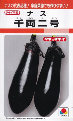 夏秋用ナスの代表品種！品質のよい長卵形ナス！タキイ交配　なす　千両二号特性・トンネル、夏秋どり用を中心に、広範囲な作型で品質と栽培性に定評のある長卵形品種。・果色は濃黒紫色でツヤがよく、果ぞろいがよい。・果皮はやわらかくて品質がよく、調理の幅が広い。・節間はやや長い。草勢旺盛でスタミナがあり、果実の肥大が早く、長期栽培でも生産が安定して多収。栽培の要点・定植は1番花開花直前の苗が適期。・土壌病害回避と収量アップのため、接ぎ木栽培を原則とする。・1番果収穫のころから追肥を行い、以後は草勢を見ながら施用する。※栽培暦は地方・気候により異なります。上記月日に頼らず貴地の気候に合わせて栽培してください。なす,ナス,茄子こちらの商品はご注文確認後にお取り寄せになる場合があります。お取り寄せの場合、商品の発送に1週間程度のお時間をいただきます。予めご了承の上、ご注文ください。