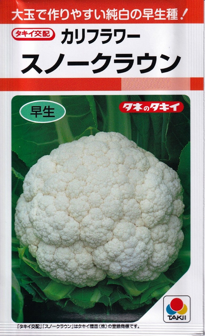 大玉で作りやすい純白の早生種！タキイ種苗　早生カリフラワー　スノークワウン&reg; 【特性】 &nbsp; ・生育旺盛で栽培しやすい早生種。・純白・肉厚の大玉花蕾で、品質良好。・花蕾は緻密で、直径16cm、重さ850g程度によくそろう。 【栽培の要点】 &nbsp; ・ポットかセルトレイなどを用いて育苗します。発芽までは適湿を保ち、本葉5枚程度の苗に育てます。・花蕾がピンポン玉のサイズになるまでに十分な大きさの株に仕上げます。花蕾が7〜8cmになったころ結束します。・収穫は花蕾が緻密でしまり、花蕾径が15cmのころに適期で行います。 ※栽培暦は地方・気候により異なります。上記月日に頼らず貴地の気候に合わせて栽培してください。 カリフラワー・スノークラウン こちらの商品はご注文確認後にお取り寄せになる場合があります。お取り寄せの場合、商品の発送に1週間程度のお時間をいただきます。予めご了承の上、ご注文ください。