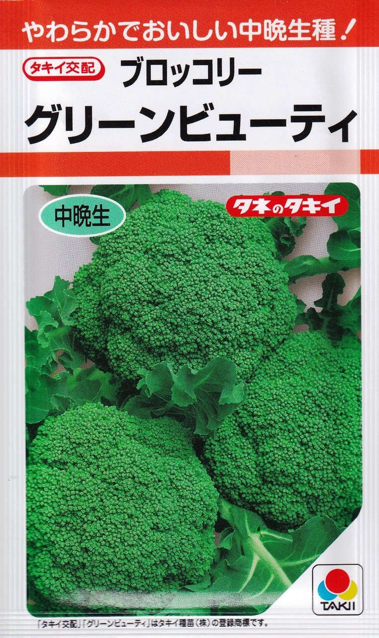 やわらかでおいしい中晩生種！タキイ種苗　ブロッコリー　グリーンビューティ&reg; 【特性】 &nbsp; ・耐寒性が強く、生育旺盛で栽培容易な中晩生種。・花蕾は濃緑色で、粒のそろいやしまりがよい。・頂花蕾収穫後は側枝花蕾も次々にとれる。 【栽培の要点】 &nbsp; ・ポットかセルトレイなどを用いて育苗します。発芽までは適湿を保ち、本葉5枚程度の苗に育てます。・花蕾がピンポン玉のサイズになるまで十分な大きさの株に仕上げます。花蕾肥大期は乾燥に注意します。・頂花蕾が緻密でしまっている適期に収穫します。側枝花蕾は追肥を行い、生育に合わせて順次収穫します。 ※栽培暦は地方・気候により異なります。上記月日に頼らず貴地の気候に合わせて栽培してください。 ブロッコリー こちらの商品はご注文確認後にお取り寄せになる場合があります。お取り寄せの場合、商品の発送に1週間程度のお時間をいただきます。予めご了承の上、ご注文ください。