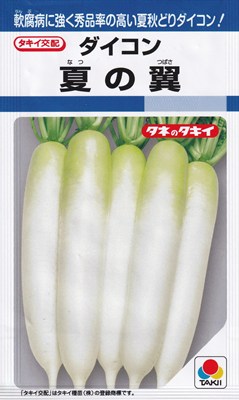 軟腐病に強く秀品率の高い夏秋どりダイコン！タキイ種苗　大根　夏の翼 【特性】 &nbsp; ・軟腐病に強く、曲がり根の発生が少ない。・青首鮮明で肌のテリ・ツヤ良好。・肉質は緻密で食味がよい。 【栽培の要点】 &nbsp; ・1か所に3〜4粒ずつまき、本葉3〜4枚までに生育中位なものを1本残して間引きます。・肥料が多すぎると、茎葉は大きくなりますが、根の肥大が悪くなるので注意します。・収穫の遅れはス入りや根割れにつながるため、若どりから適期収穫を心掛けます。 ※栽培暦は地方・気候により異なります。上記月日に頼らず貴地の気候に合わせて栽培してください。 大根・だいこん・ダイコン・なつのつばさ・ナツノツバサ こちらの商品はご注文確認後にお取り寄せになる場合があります。お取り寄せの場合、商品の発送に1週間程度のお時間をいただきます。予めご了承の上、ご注文ください。
