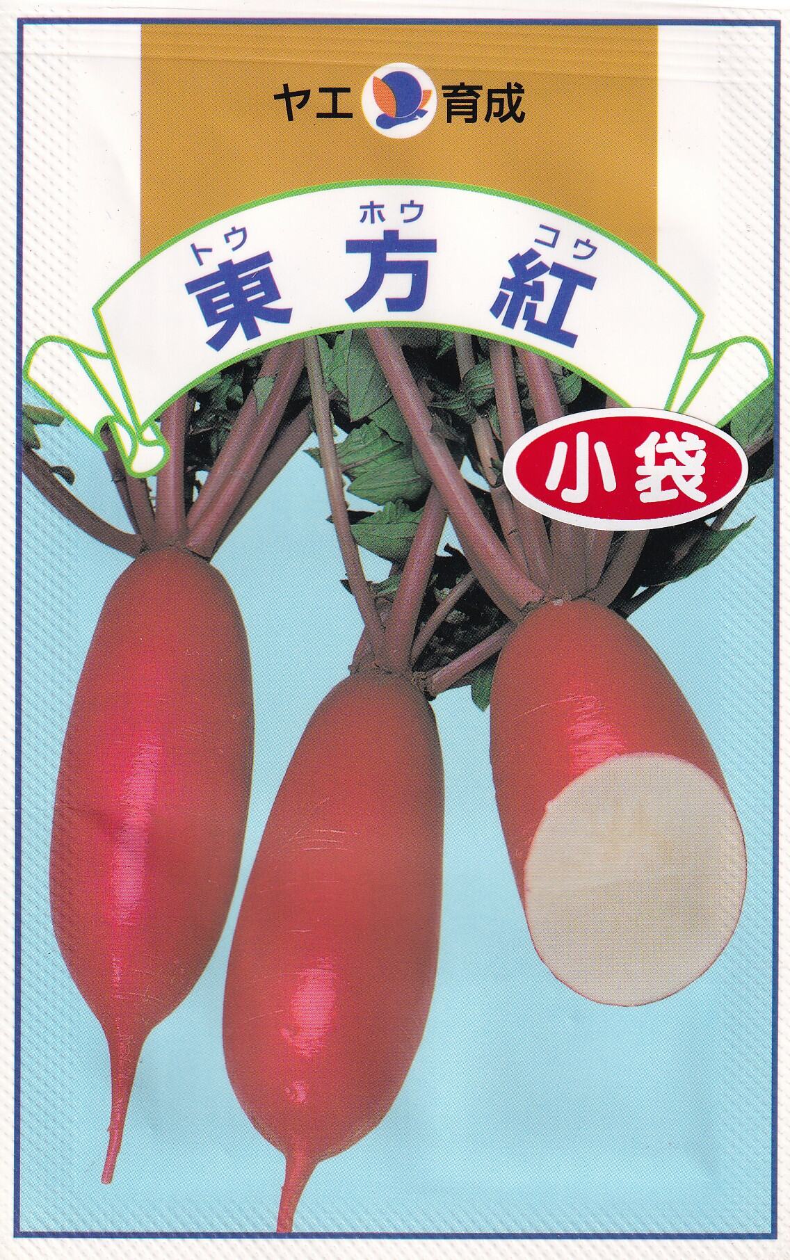 ヤエ交配　大根　東方紅 【特性】 ・草姿は立性の切れ葉で葉数が少なく、中助は薄い紅色を呈します。・根部はやや長めの紡錘形で（根部20cm内外）表皮は濃紅色で光沢があり、肉色は純白です。・肉質は歯切れよく柔らかで、水分が多い。・酢の物、和食、刺身の色付けなどに適するほか、おろしにすれば表皮の紅色がまじってピンク色になります。 ※栽培暦は地方・気候により異なります。上記月日に頼らず貴地の気候に合わせて栽培してください。 大根・ダイコン・だいこん・とうほうこう・トウホウコウ こちらの商品はご注文確認後にお取り寄せになる場合があります。お取り寄せの場合、商品の発送に1週間程度のお時間をいただきます。予めご了承の上、ご注文ください。