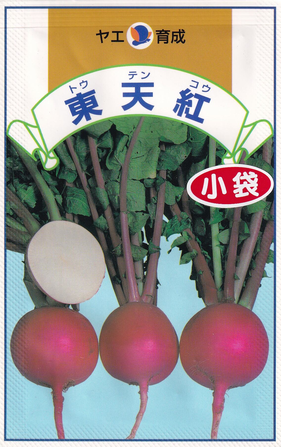 ヤエ交配　大根　東天紅 【特性】 ・草姿は半開帳性で葉の切れ込みが多く、中助は紅色です。・根は豊円な球形で、直径10cm、重さ600g前後になります。・根の外皮は鮮紅色で、肉色は純白です。・肉質は緻密で、ス入りは遅いです。・漬物、煮物、酢の物等に適します。 ※栽培暦は地方・気候により異なります。上記月日に頼らず貴地の気候に合わせて栽培してください。 大根・ダイコン・だいこん・とうてんこう・トウテンコウ こちらの商品はご注文確認後にお取り寄せになる場合があります。お取り寄せの場合、商品の発送に1週間程度のお時間をいただきます。予めご了承の上、ご注文ください。