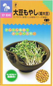 中原採種場　かんたんスプラウト 大豆もやし（姫大豆） 1L 【宅配便対応】【お取り寄せ】