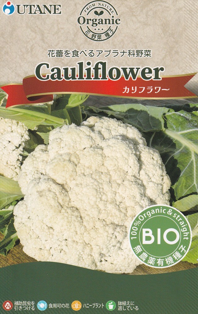 製造元：ウタネ花蕾を食べるアブラナ科野菜カリフラワー固定種有機栽培種子栽培適温20〜25度特性白い花蕾を収穫、涼しい気候で品質が安定します。2〜3kgの均一で丸い花蕾をつけ、非常に丈夫です。育て方連結ポットなどにタネを2〜3粒まきます。本葉2〜3枚になったら1本に間引きます。本葉6枚のころ、株間50cmくらいに植えます。植え付けから約20日ほどで、追肥します。土が乾いたら、たっぷりと水を与えます。関東目安のまき時期2月まき 3月まき 7月まき 8月まき収穫時期1月収穫 6月収穫 7月収穫 11月収穫 12月収穫有機種子の定義有機種子とは、化学肥料や農薬を一切使用せず、遺伝子組み換え技術も用いない有機農法で育てられた作物から採取された種子であり、採取後の消毒もされていないものです。カリフラワーの種子,カリフラワーのタネ,かりふらわーの種子,かりふらわーのタネ2026/08/06 - ver.3.0