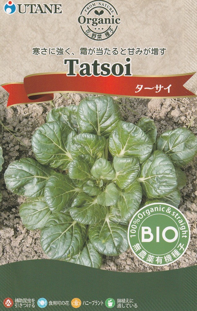 製造元：ウタネ寒さに強く、霜が当たると甘みが増すターサイ固定種有機栽培種子栽培適温20〜25度特性寒さに強く、低温に当たると葉が地面を這うように広がります。春にまくと生育が早く、葉や茎が上に伸びた形になります。育て方1か所に5〜6粒タネをまき、春は10〜15cm、秋は20〜25cmほどの間隔をあけます。本葉5〜6枚になったら1本に間引きます。関東目安のまき時期4月まき 5月まき 6月まき 7月まき 8月まき 9月まき収穫時期6月収穫 7月収穫 8月収穫 9月収穫 10月収穫 11月収穫有機種子の定義有機種子とは、化学肥料や農薬を一切使用せず、遺伝子組み換え技術も用いない有機農法で育てられた作物から採取された種子であり、採取後の消毒もされていないものです。ターサイの種子,ターサイのタネ,たーさいの種子,たーさいのタネ2026/08/06 - ver.3.0