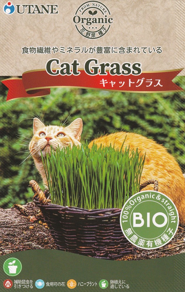 製造元：ウタネ食物繊維やミネラルが豊富に含まれているキャットグラス固定種有機栽培種子栽培適温15〜20度特性飼い猫にはいつも新鮮な野菜！バルコニー、屋内での播種に適した成長の早いミックス。高さ約10cm、1週間の間隔で複数回播種して、緑の芝生を連続的に生やします。水耕栽培もできます。育て方種は薄く土にまき、軽く覆土する。日当たりの良い場所で、水はけの良い有機質土壌を好む。乾燥しないよう適度に水やりし、過湿は避ける。発芽は3〜7日で早く育つ。草丈が10〜15cmになったら収穫可能。室内でも育てやすく、猫の健康維持に役立つ。関東目安のまき時期1月 2月 3月 4月 5月 6月 7月 8月 9月 10月 11月 12月収穫時期1月 2月 3月 4月 5月 6月 7月 8月 9月 10月 11月 12月有機種子の定義有機種子とは、化学肥料や農薬を一切使用せず、遺伝子組み換え技術も用いない有機農法で育てられた作物から採取された種子であり、採取後の消毒もされていないものです。キャットグラスの種子,キャットグラスのタネ,きゃっとぐらすの種子,きゃっとぐらすのタネ2026/08/06 - ver.3.0