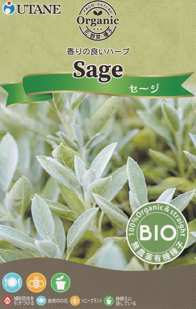 製造元：ウタネ香りのよいハーブセージ固定種有機栽培種子栽培適温15〜20度特性育てやすい多年草で、たくさんの葉と花が益虫を引き寄せます。料理や薬用ハーブとして栽培されています。育て方連結ポットなどにタネを2〜3粒まきます。本葉2〜3枚になったら1本に間引きます。生育が進んだら、鉢植えやプランターなどに植えます。日当たりと水はけの良い場所で育てます。過湿を避け、伸びたら摘芯して枝数を増やします。関東目安のまき時期3月 4月 5月 9月 10月収穫時期6月 7月 8月 9月 10月 11月有機種子の定義有機種子とは、化学肥料や農薬を一切使用せず、遺伝子組み換え技術も用いない有機農法で育てられた作物から採取された種子であり、採取後の消毒もされていないものです。セージの種子,セージのタネ,せーじの種子,せーじのタネ2026/08/06 - ver.3.0