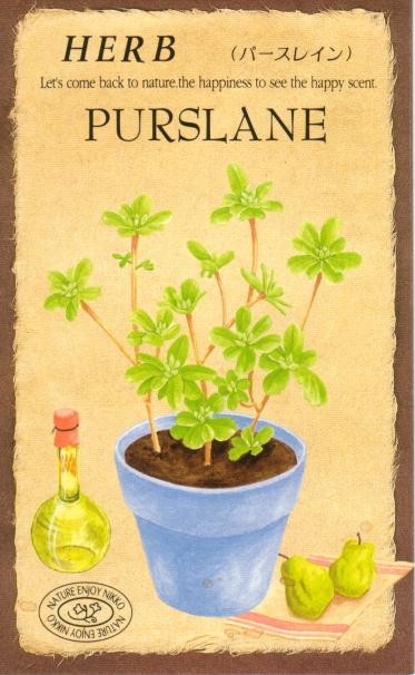 日光種苗 ハーブ「ゴールデンパースレインのタネ」[内容量：0.1ml]（0836）のサムネイル