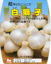 国産にんにく「白獅子ニンニク　約500g入」