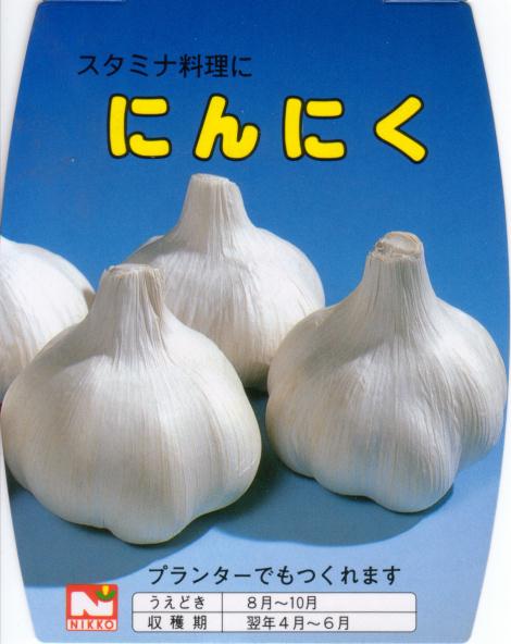 中国産にんにく「カテイ（嘉定）ニンニク　約500g入」