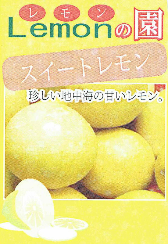 「スイートレモン」9cmポット苗　【10月中旬発送分予約】