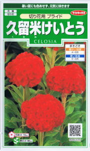 サカタのタネ　久留米けいとう・切花用　プライド 【郵送対応】