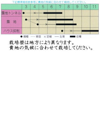 宇治交配 ズッキーニ 黄まんぼう 約10粒 【郵送対応】