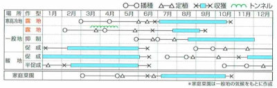 マウロの地中海トマト シシリアンルージュ 約8粒【郵送対応】